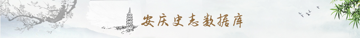 安庆史志数据库